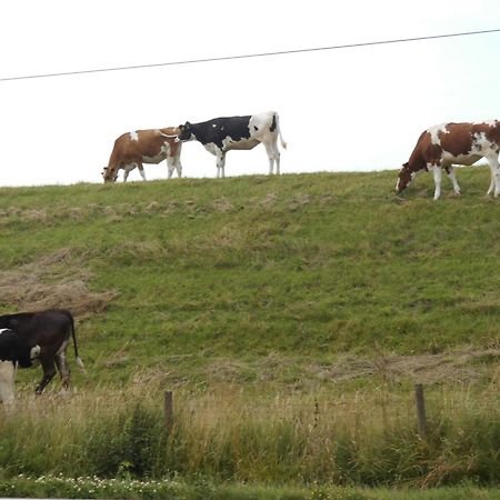 Willa Moewennest Neuharlingersiel Zewnętrze zdjęcie